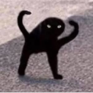 Meet your Posher, Annabel